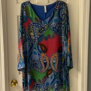 Beautiful sheer long sleeved dress